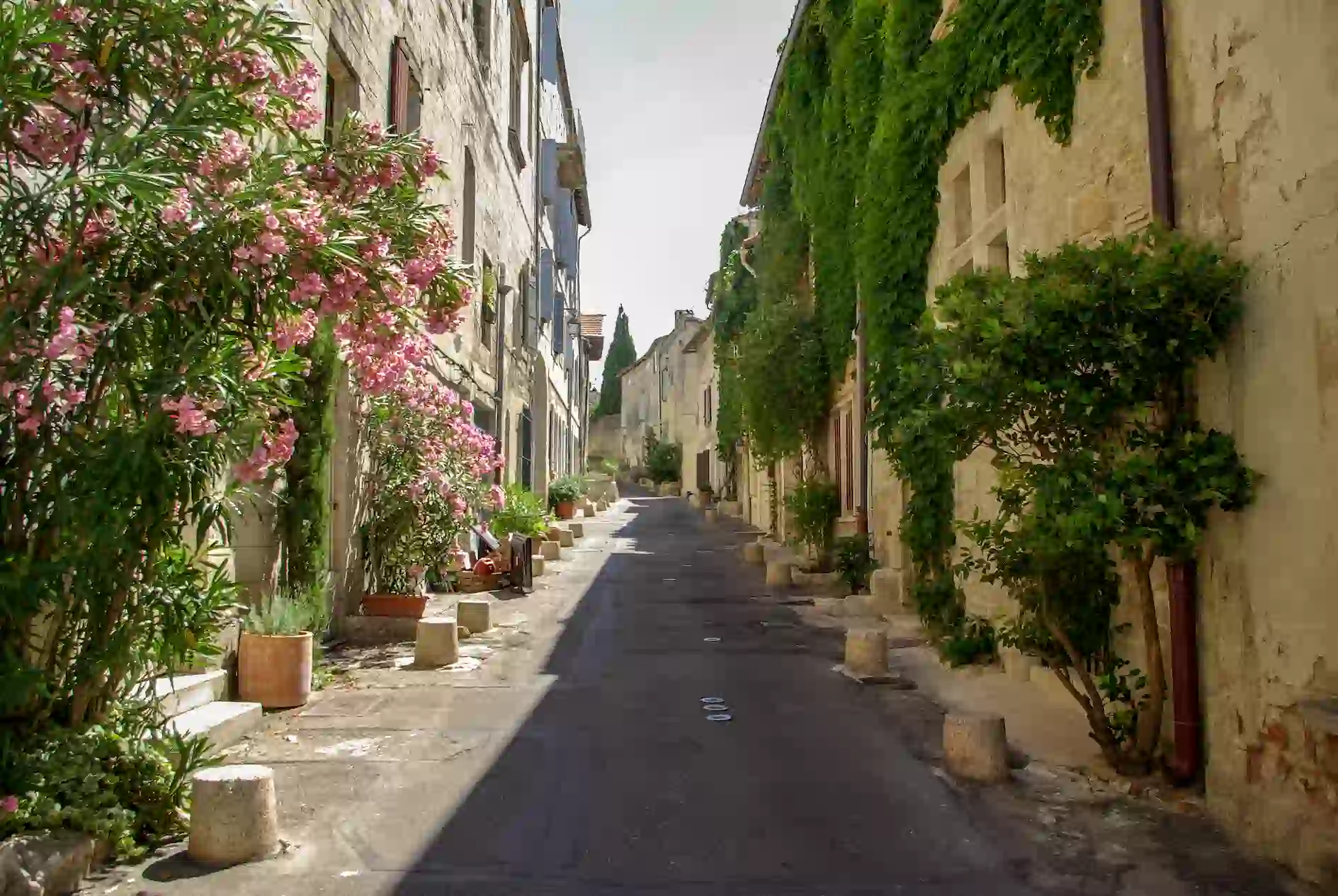 Vue d’une rue pittoresque à Villeneuve-les-Avignon, avec des maisons anciennes et des plantes fleuries.