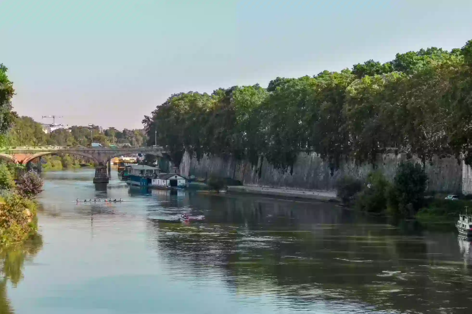 pont d'avignon