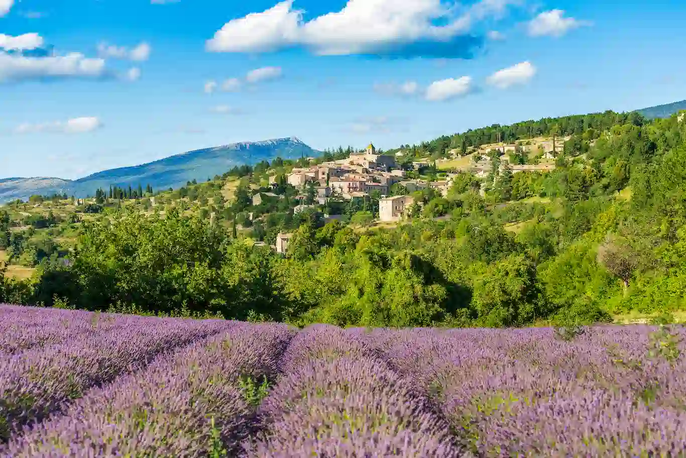 Vue panoramique du Vaucluse avec champs de lavande et village provençal en arrière-plan.